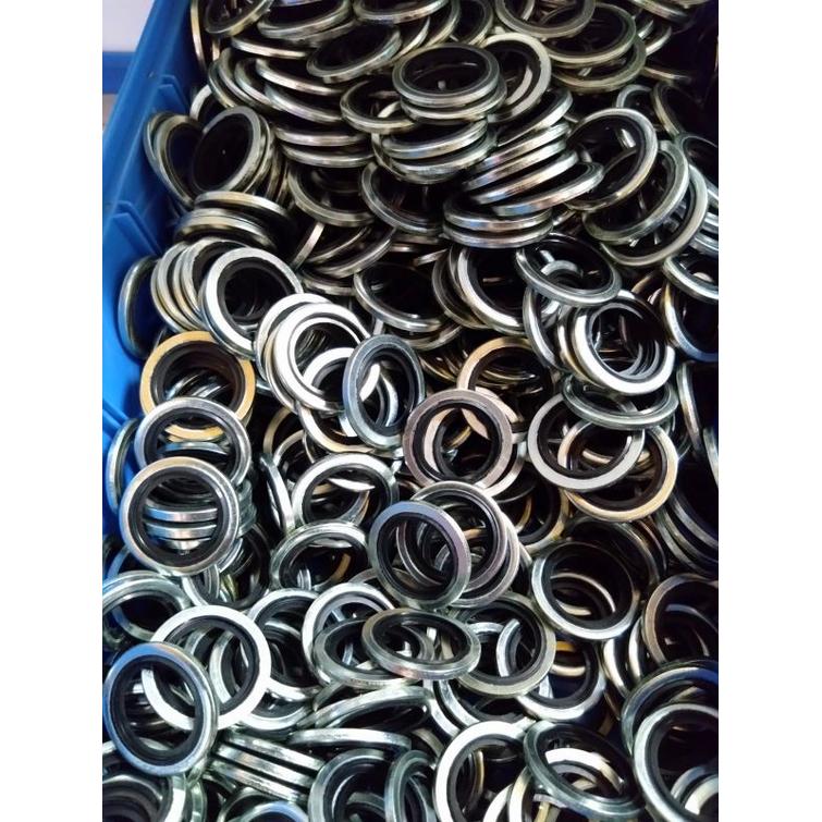 BSP USIT Tiiviste R1/4